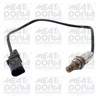 Oxygen Sensor